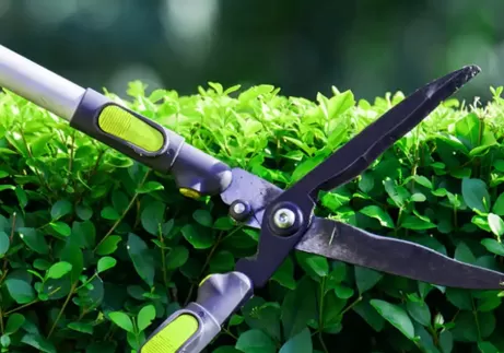 Hedge Shears